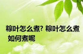 粽叶怎么煮? 粽叶怎么煮 如何煮呢