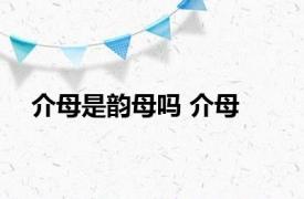 介母是韵母吗 介母 