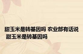 甜玉米是转基因吗 农业部有话说 甜玉米是转基因吗 