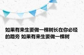 如果有来生要做一棵树长在你必经的路旁 如果有来生要做一棵树 