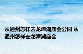 从通州怎样去龙潭湖庙会公园 从通州怎样去龙潭湖庙会