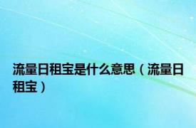 流量日租宝是什么意思（流量日租宝）