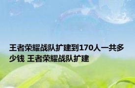 王者荣耀战队扩建到170人一共多少钱 王者荣耀战队扩建 