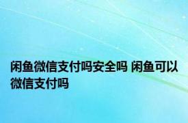 闲鱼微信支付吗安全吗 闲鱼可以微信支付吗 