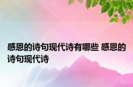 感恩的诗句现代诗有哪些 感恩的诗句现代诗 