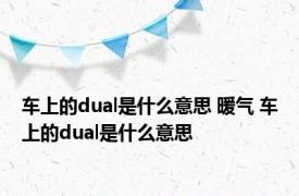 车上的dual是什么意思 暖气 车上的dual是什么意思