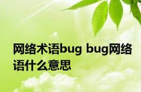 网络术语bug bug网络语什么意思