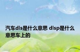 汽车dls是什么意思 dlsp是什么意思车上的 