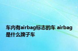 车内有airbag标志的车 airbag是什么牌子车