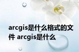 arcgis是什么格式的文件 arcgis是什么