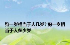 狗一岁相当于人几岁? 狗一岁相当于人多少岁