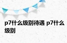 p7什么级别待遇 p7什么级别