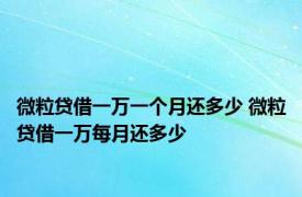 微粒贷借一万一个月还多少 微粒贷借一万每月还多少