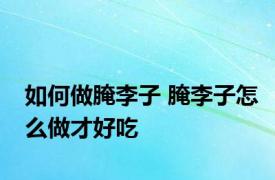 如何做腌李子 腌李子怎么做才好吃