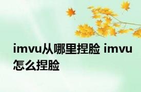 imvu从哪里捏脸 imvu怎么捏脸