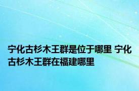 宁化古杉木王群是位于哪里 宁化古杉木王群在福建哪里