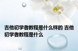 吉他初学者教程是什么样的 吉他初学者教程是什么