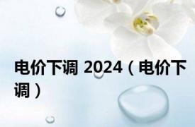 电价下调 2024（电价下调）