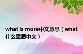 what is more中文意思（what什么意思中文）