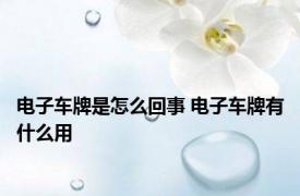 电子车牌是怎么回事 电子车牌有什么用