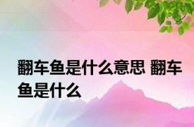 翻车鱼是什么意思 翻车鱼是什么