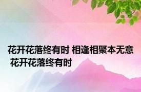 花开花落终有时 相逢相聚本无意 花开花落终有时 