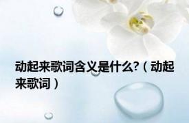 动起来歌词含义是什么?（动起来歌词）