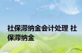 社保滞纳金会计处理 社保滞纳金 