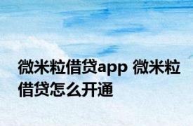 微米粒借贷app 微米粒借贷怎么开通