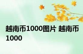 越南币1000图片 越南币1000 