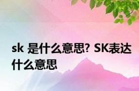 sk 是什么意思? SK表达什么意思