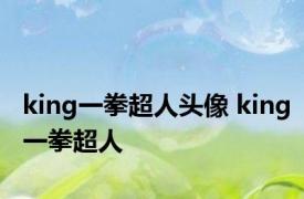 king一拳超人头像 king一拳超人 