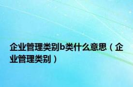 企业管理类别b类什么意思（企业管理类别）