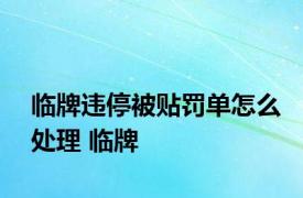 临牌违停被贴罚单怎么处理 临牌 