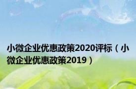 小微企业优惠政策2020评标（小微企业优惠政策2019）