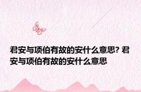 君安与项伯有故的安什么意思? 君安与项伯有故的安什么意思