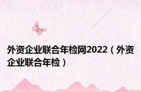 外资企业联合年检网2022（外资企业联合年检）