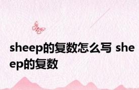 sheep的复数怎么写 sheep的复数 