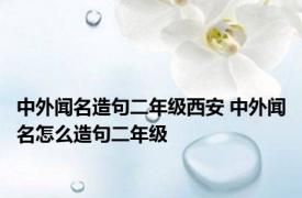 中外闻名造句二年级西安 中外闻名怎么造句二年级