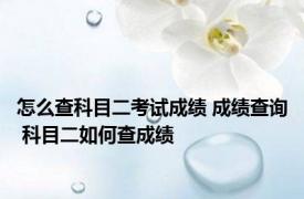 怎么查科目二考试成绩 成绩查询 科目二如何查成绩