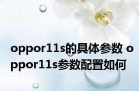 oppor11s的具体参数 oppor11s参数配置如何