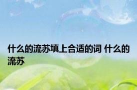 什么的流苏填上合适的词 什么的流苏 