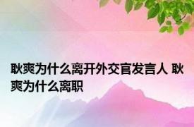 耿爽为什么离开外交官发言人 耿爽为什么离职