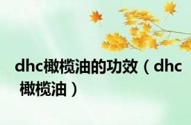 dhc橄榄油的功效（dhc 橄榄油）