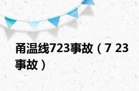 甬温线723事故（7 23事故）