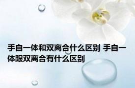 手自一体和双离合什么区别 手自一体跟双离合有什么区别