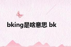 bking是啥意思 bk 