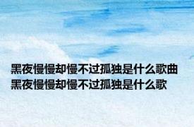 黑夜慢慢却慢不过孤独是什么歌曲 黑夜慢慢却慢不过孤独是什么歌 