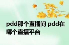 pdd那个直播间 pdd在哪个直播平台 