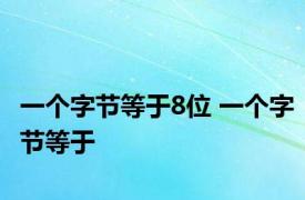 一个字节等于8位 一个字节等于 